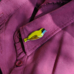 Yellow weaver brooch pin